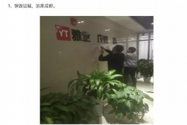 宝清为什么选择专业追讨公司来处理您的债务纠纷？